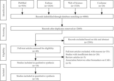 Cancer-associated fibroblasts, and clinicopathological characteristics and prognosis of gastric cancer: A systematic review and meta-analysis